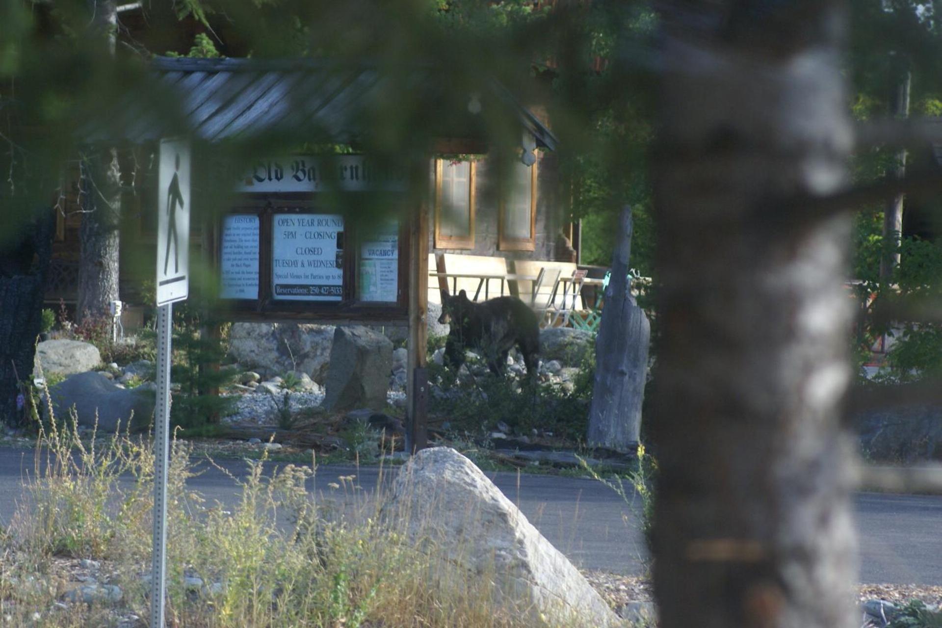 Alpenglow Bed And Breakfast Kimberley Dış mekan fotoğraf